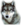 drugi